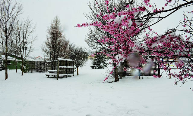 雪景.jpg